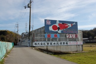京阪錦鯉センター,京阪水処理開発